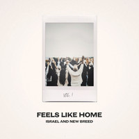 ISRAEL & NEW BREED - Feels Like Home, Vol. 1