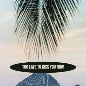 Various Artist - Too Late To Kiss You Now