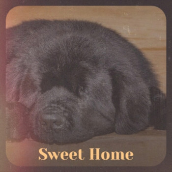 Various Artist - Sweet Home