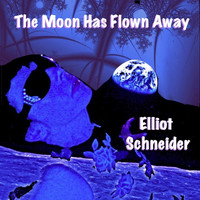 Elliot Schneider - The Moon Has Flown Away