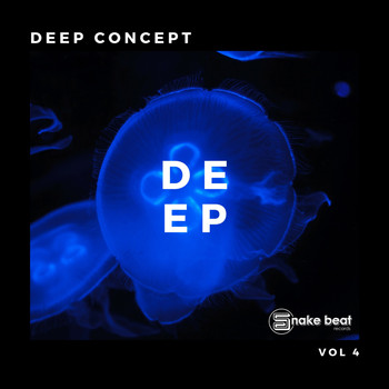 Various Artists - Deep Concept, Vol. 4