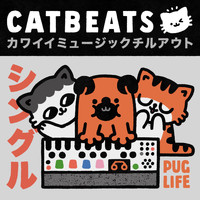 catbeats - Pug Life