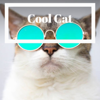 Various Artist - Cool Cat