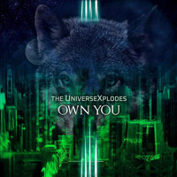 The Universexplodes - Own You