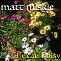 Matt Miskie - African Daisy