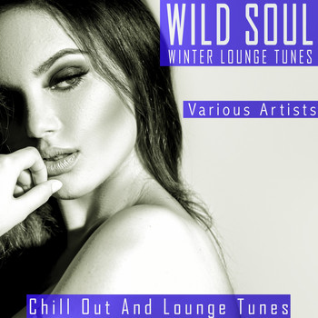 Various Artists - Wild Soul - Winter Lounge Tunes