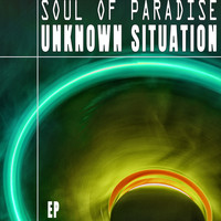 Soul of Paradise - Unknown Situation - EP