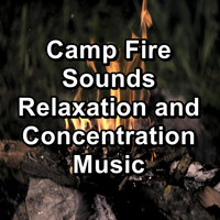 Yoga Flow - Camp Fire Sounds Relaxation and Concentration Music