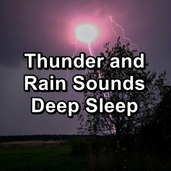 Deep Sleep Music Collective - Thunder and Rain Sounds Deep Sleep