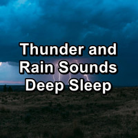 Sleep Tribe - Thunder and Rain Sounds Deep Sleep