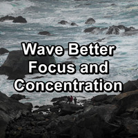 Sleep Waves - Wave Better Focus and Concentration