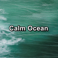 Ocean - Calm Ocean