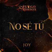 Joy - No Sé Tú (De La Telenovela "Fuego Ardiente")