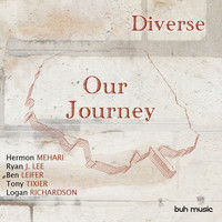 Diverse - Our Journey