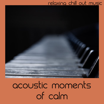 Relaxing Chill Out Music - Acoustic Moments Of Calm