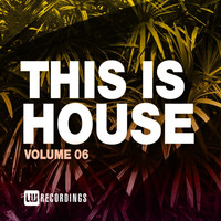 Various Artists - This Is House, Vol. 06