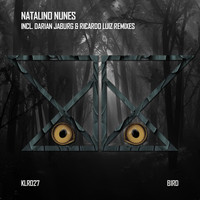 Natalino Nunes - Bird