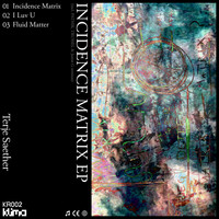 Terje Saether - Incidence Matrix EP