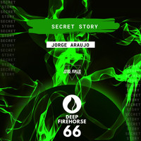 Jorge Araujo - Secret Story