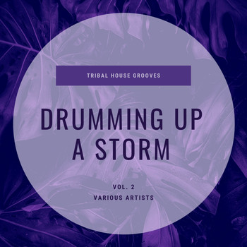 Various Artists - Drumming Up A Storm (Tribal House Grooves), Vol. 2