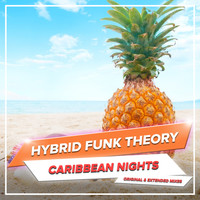 Hybrid Funk Theory - Caribbean Nights