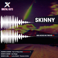 Skinny - Big Kicks No Tricks EP