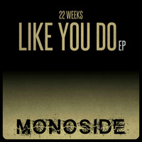22 Weeks - Like You Do EP