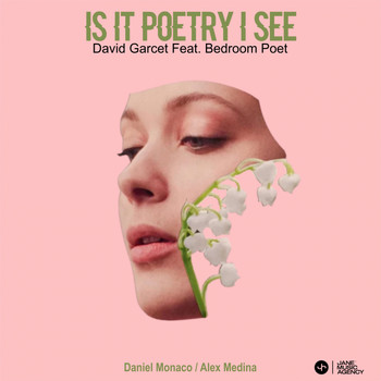 David Garcet Feat. Bedroom Poet - Is it poetry I see