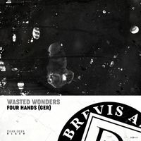 Four Hands (GER) - Wasted Wonders