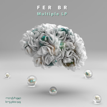 Fer BR - Multiple