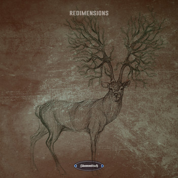 Various Artists - Redimensions