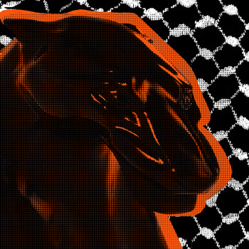 Arabian Panther - The Penitent