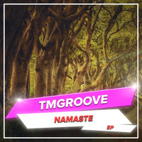 TMGROOVE - Namaste