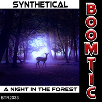 Synthetical - A Night In The Forest