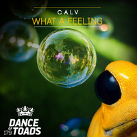 CALV (UK) - What A Feeling