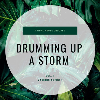 Various Artists - Drumming Up A Storm (Tribal House Grooves), Vol. 1