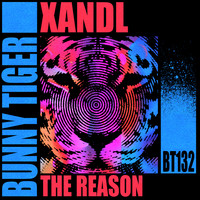Xandl - The Reason