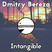 Dmitry Bereza - Intangible