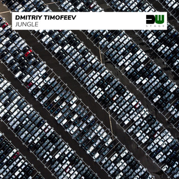 Dmitriy Timofeev - Jungle