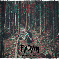 Fly Dying - Desolation