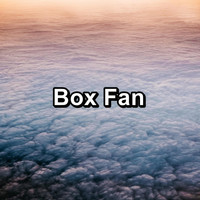 Fan Sounds - Box Fan