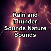 Baby Rain - Rain and Thunder Sounds Nature Sounds