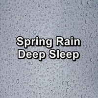 Nature Tribe - Spring Rain Deep Sleep