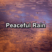 Relax - Peaceful Rain