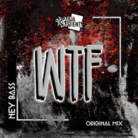 Ney Bass - WTF (Explicit)