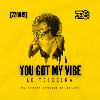 Le Teixeira - You Got My Vibe
