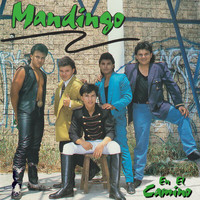 Mandingo - En El Camino