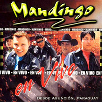 Mandingo - En Vivo Desde Asunción, Paraguay 2001