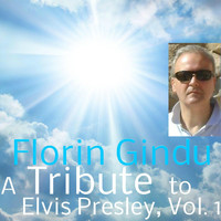 Florin Gindu - A Tribute to Elvis Presley, Vol. 1
