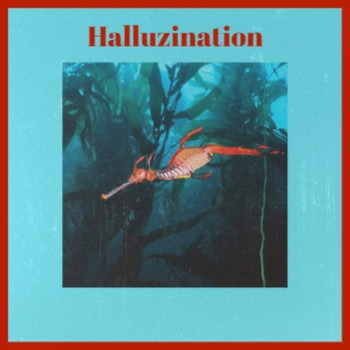Various Artists - Halluzination